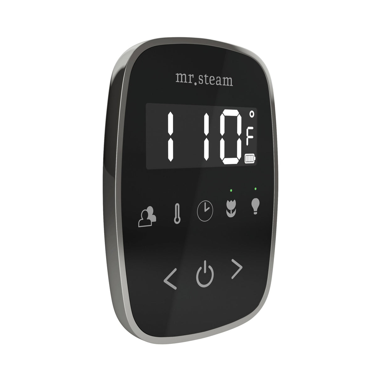 Mr. Steam TempoFlex Steam Shower Control and Steamhead