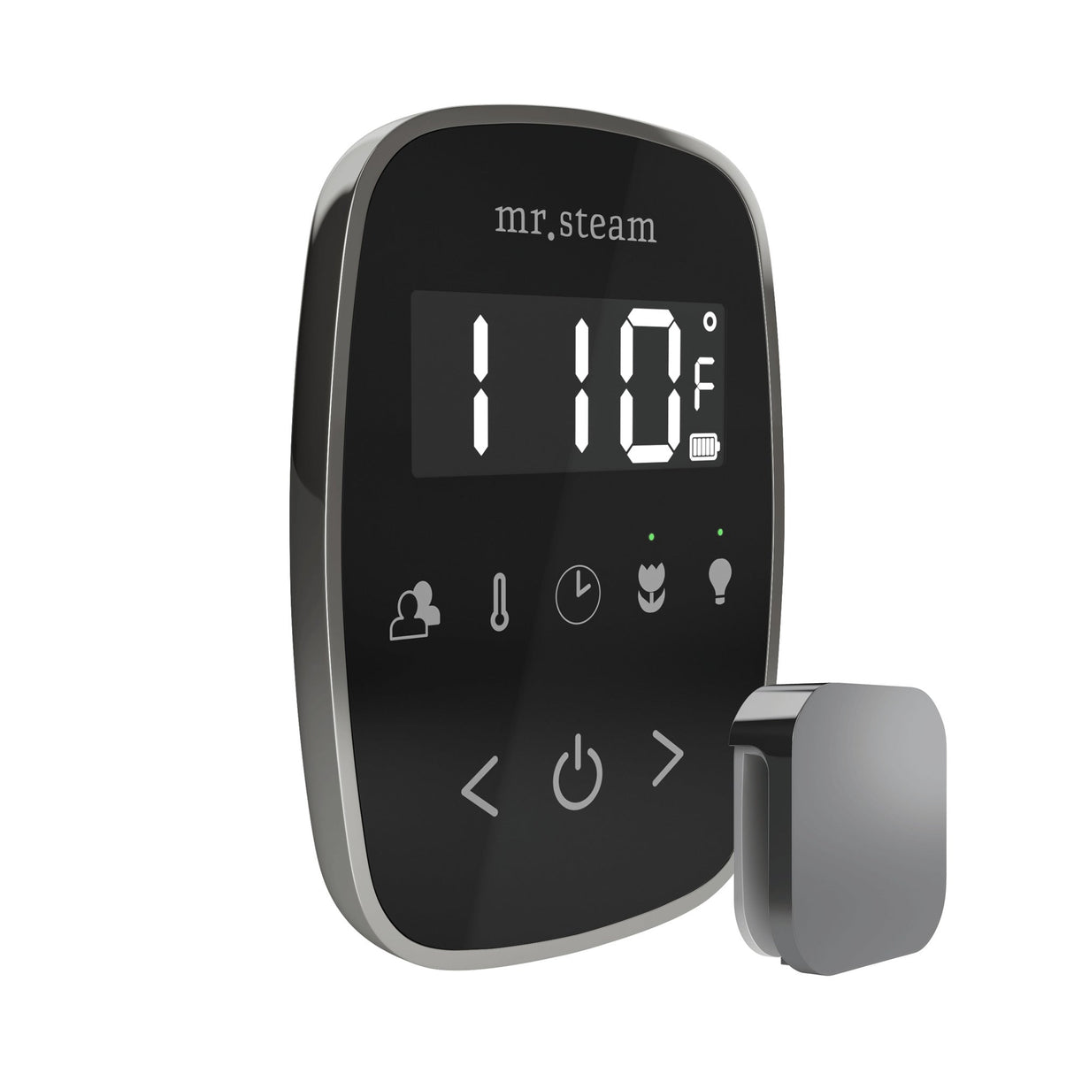 Mr. Steam TempoFlex Steam Shower Control and Steamhead