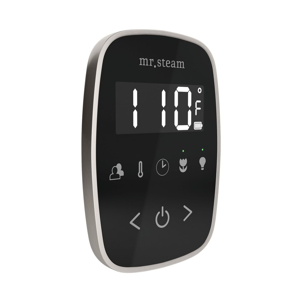 Mr. Steam TempoFlex Steam Shower Control and Steamhead