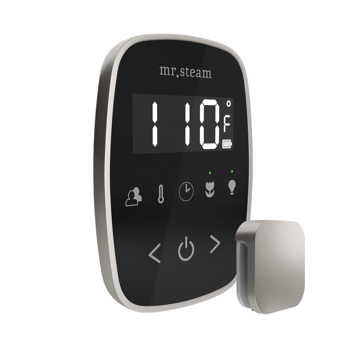 Mr. Steam TempoFlex Steam Shower Control and Steamhead