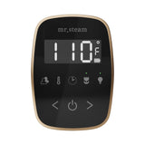 Mr. Steam TempoFlex Steam Shower Control and Steamhead