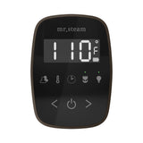 Mr. Steam TempoFlex Steam Shower Control and Steamhead