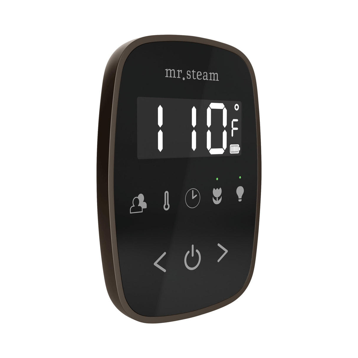 Mr. Steam TempoFlex Steam Shower Control and Steamhead
