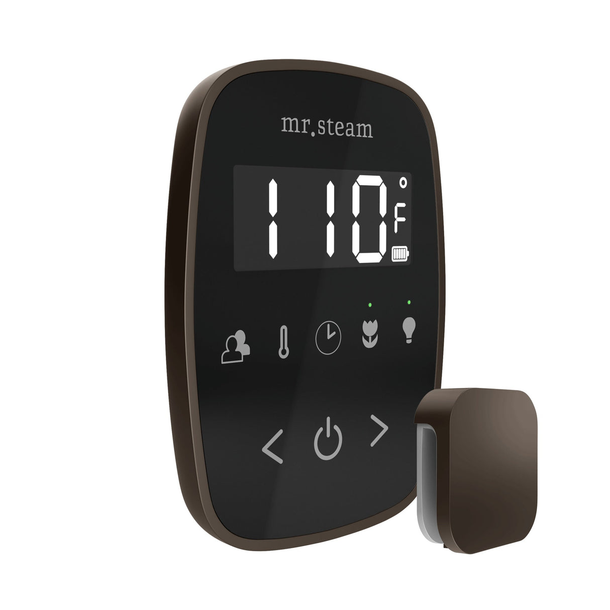 Mr. Steam TempoFlex Steam Shower Control and Steamhead