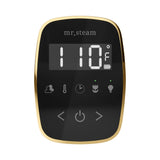 Mr. Steam TempoFlex Steam Shower Control and Steamhead
