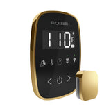 Mr. Steam TempoFlex Steam Shower Control and Steamhead