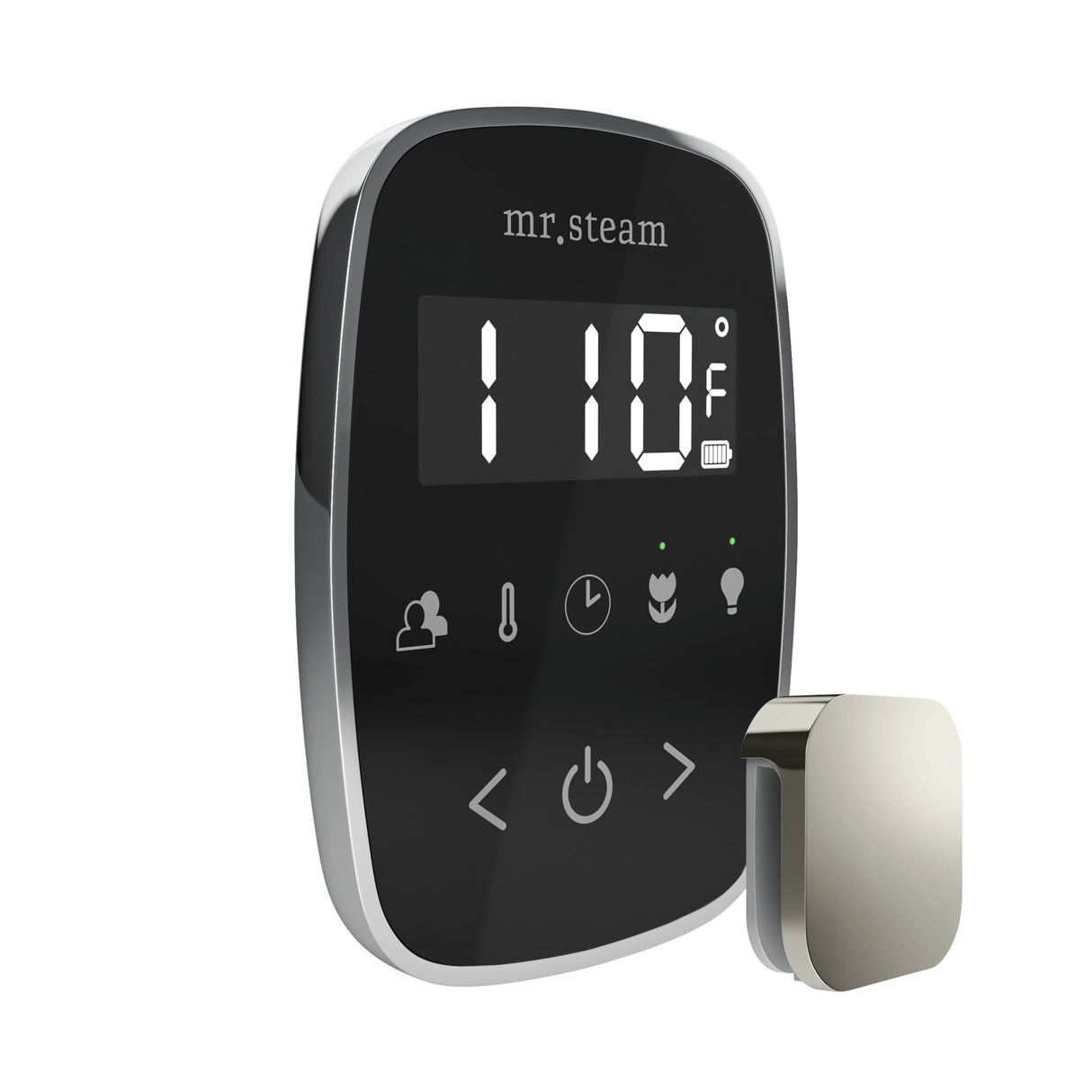 Mr. Steam TempoFlex Steam Shower Control and Steamhead
