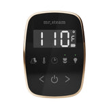 Mr. Steam TempoFlex Steam Shower Control and Steamhead