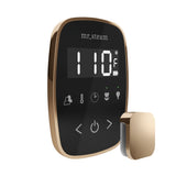 Mr. Steam TempoFlex Steam Shower Control and Steamhead