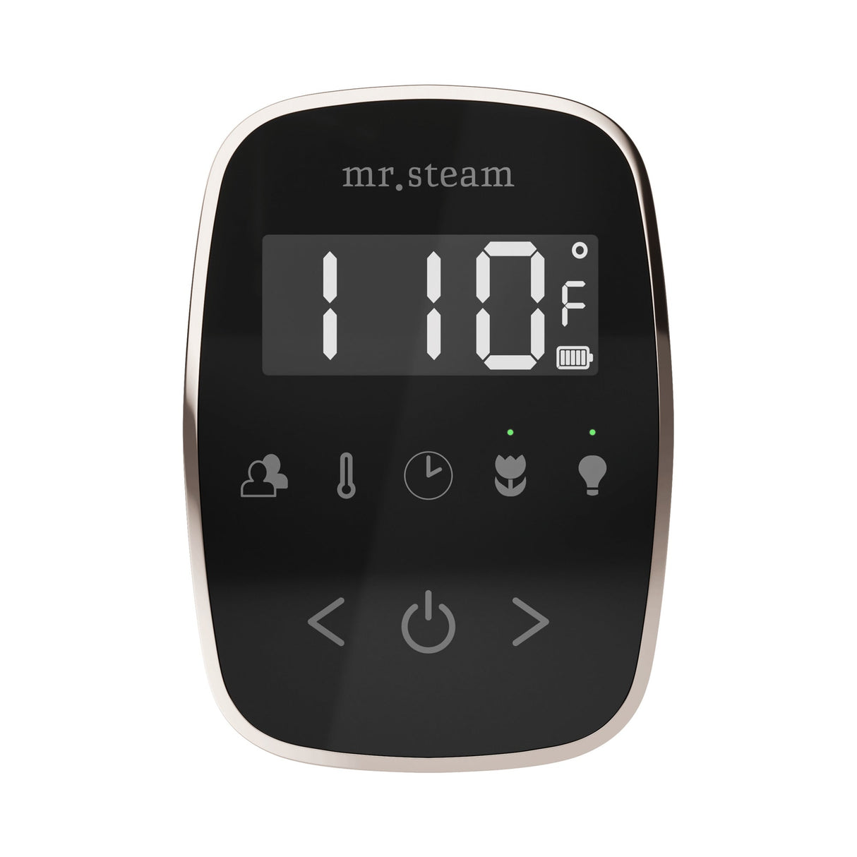 Mr. Steam TempoFlex Steam Shower Control and Steamhead