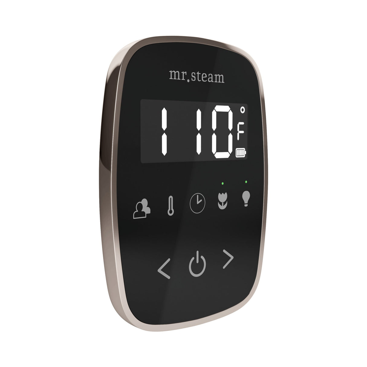 Mr. Steam TempoFlex Steam Shower Control and Steamhead