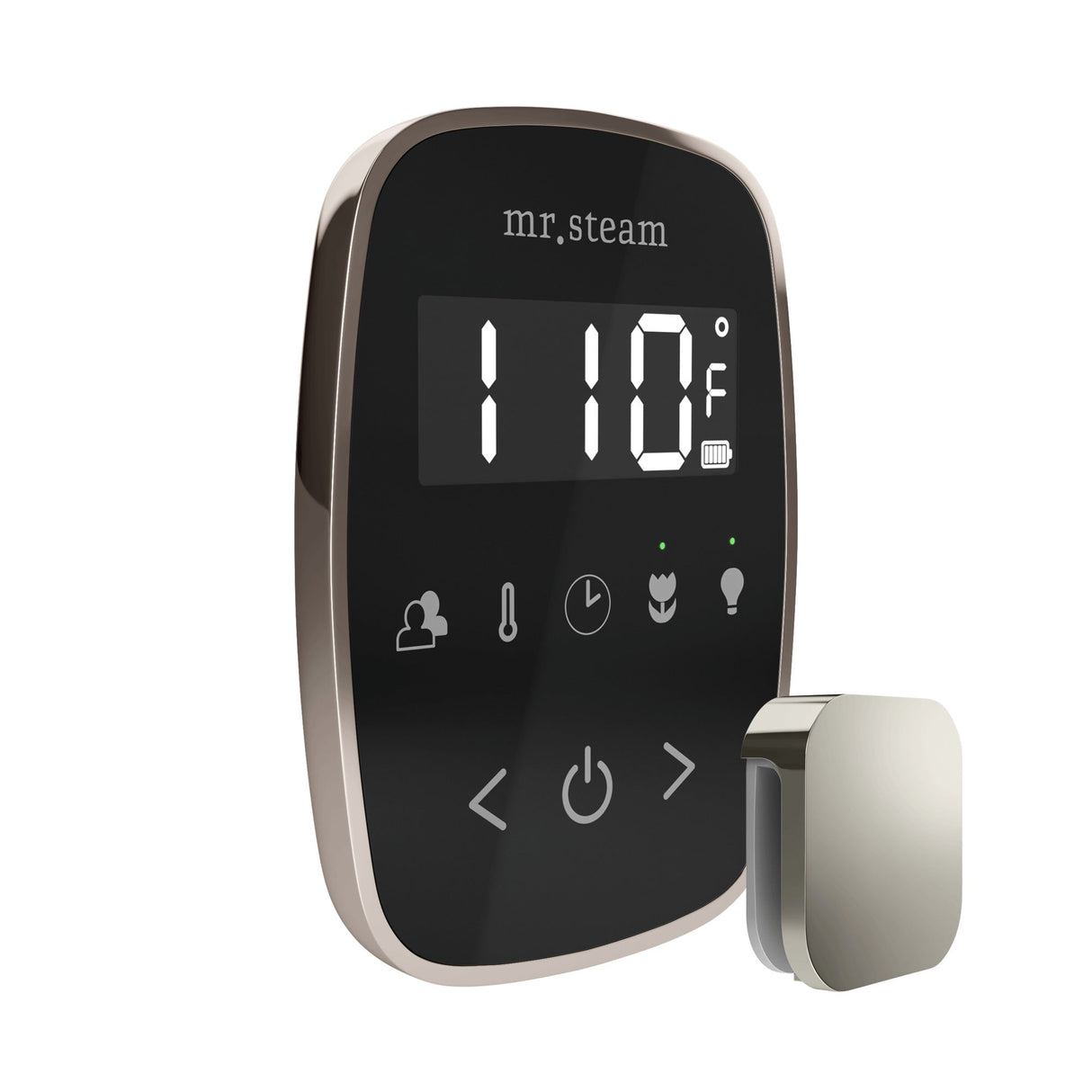 Mr. Steam TempoFlex Steam Shower Control and Steamhead
