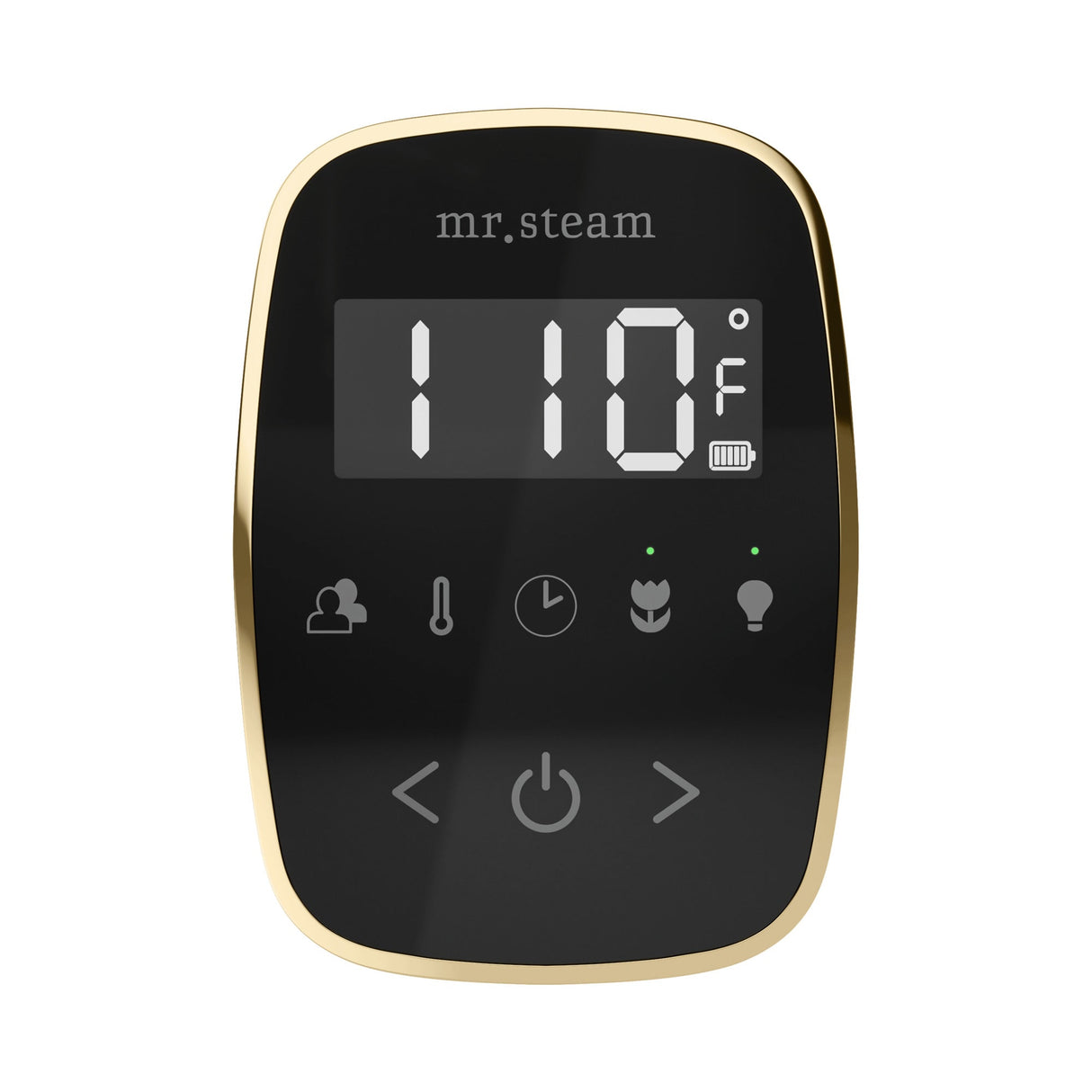 Mr. Steam TempoFlex Steam Shower Control and Steamhead