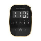 Mr. Steam TempoFlex Steam Shower Control and Steamhead
