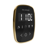 Mr. Steam TempoFlex Steam Shower Control and Steamhead