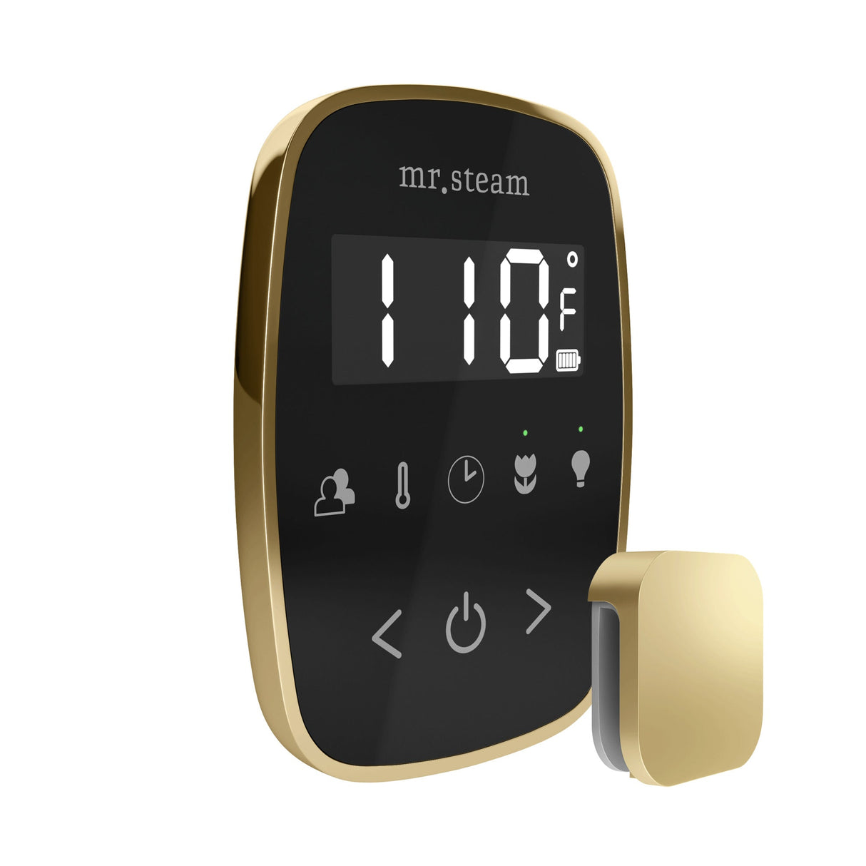 Mr. Steam TempoFlex Steam Shower Control and Steamhead