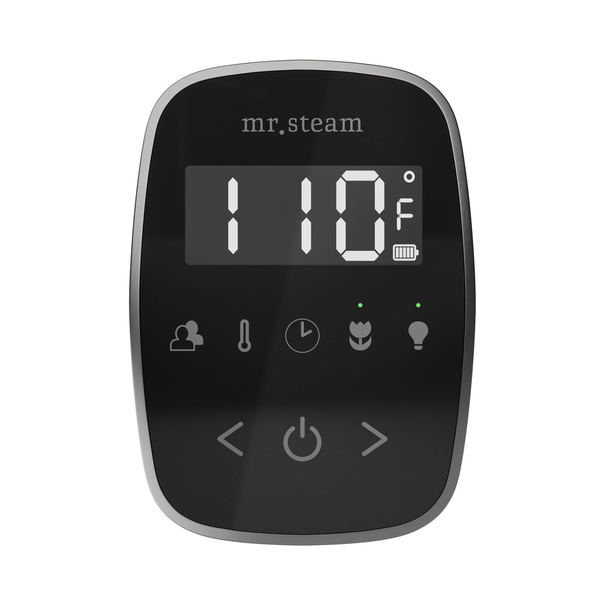 Mr. Steam TempoFlex Steam Shower Control and Steamhead