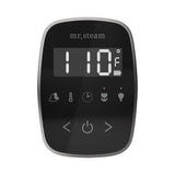 Mr. Steam TempoFlex Steam Shower Control and Steamhead
