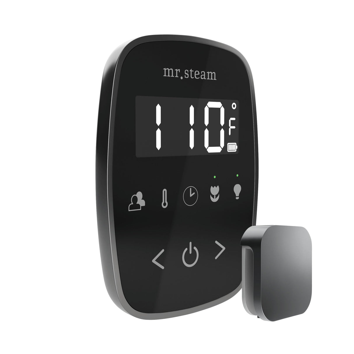Mr. Steam TempoFlex Steam Shower Control and Steamhead