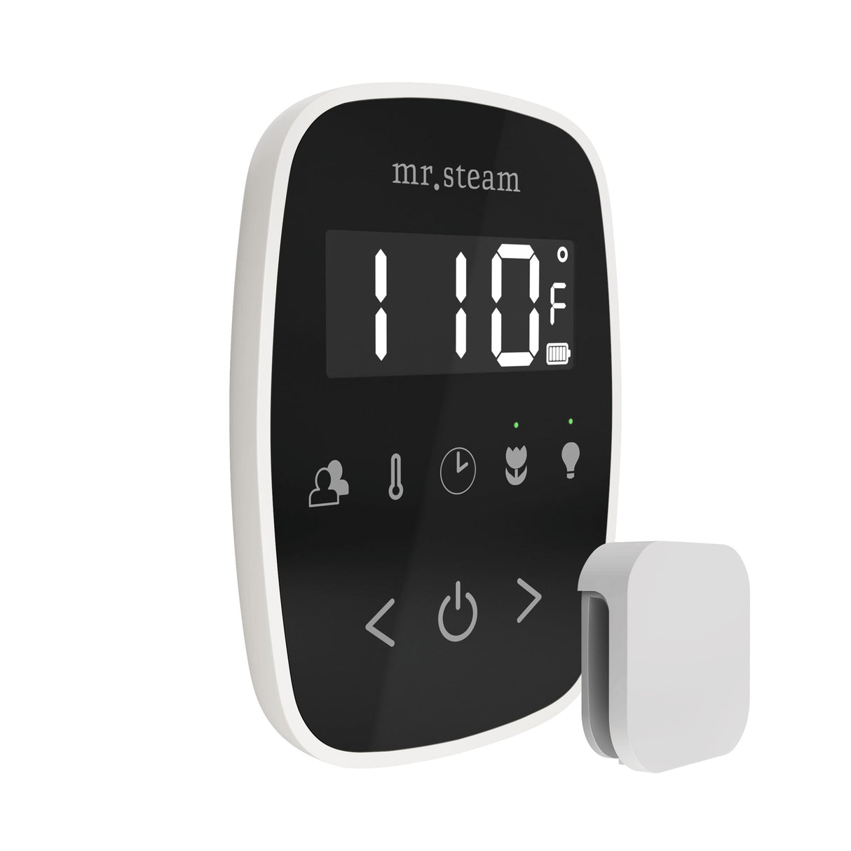 Mr. Steam TempoFlex Steam Shower Control and Steamhead