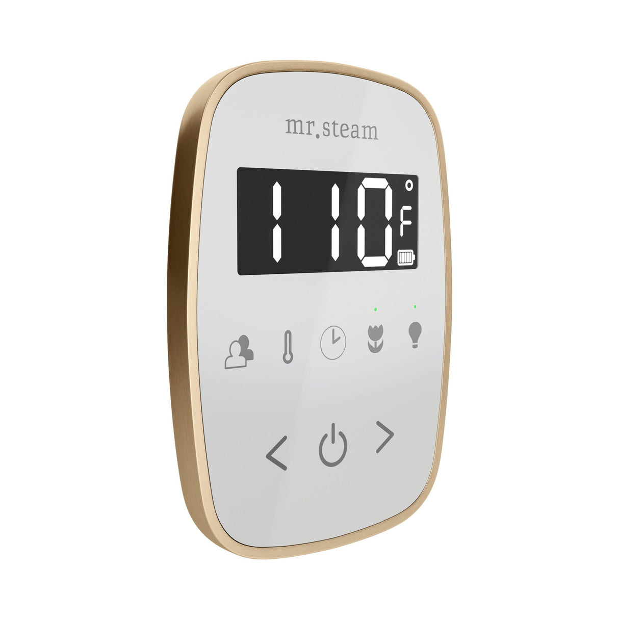 Mr. Steam TempoFlex Steam Shower Control and Steamhead