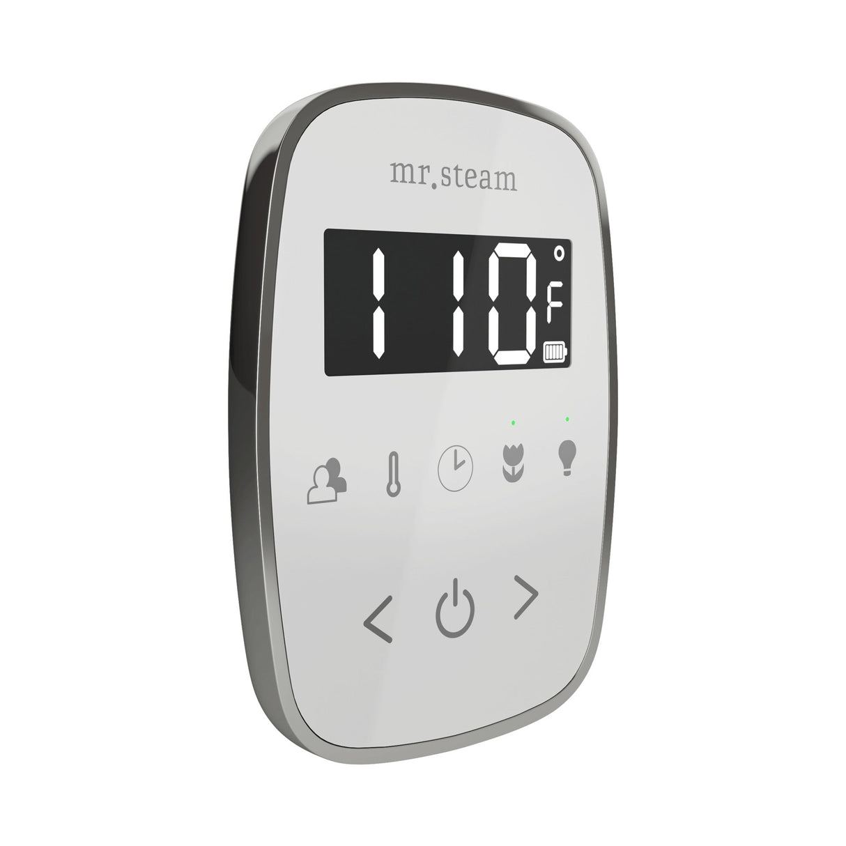 Mr. Steam TempoFlex Steam Shower Control and Steamhead
