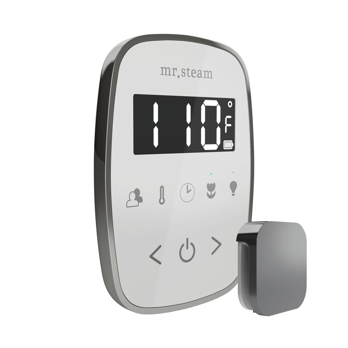 Mr. Steam TempoFlex Steam Shower Control and Steamhead