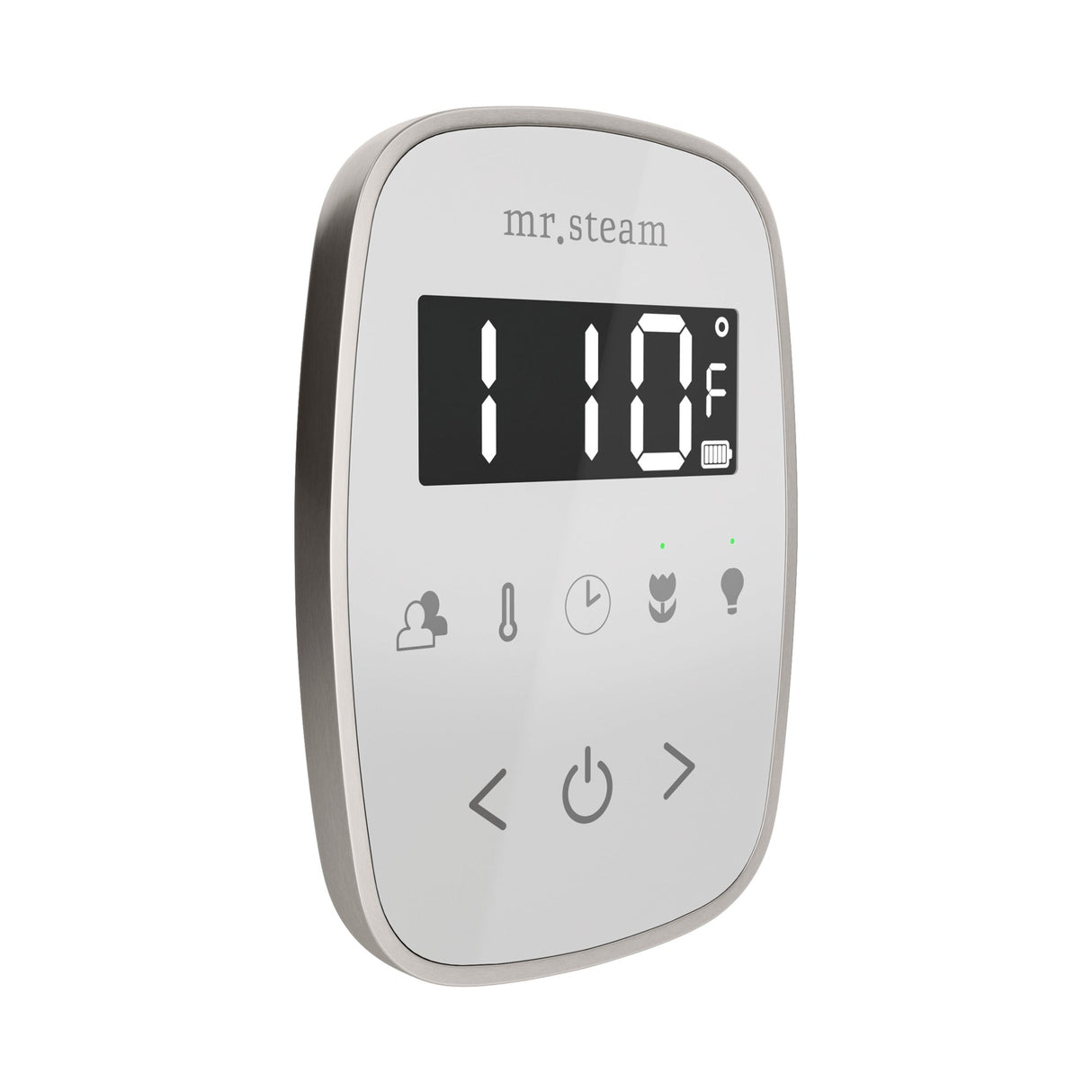 Mr. Steam TempoFlex Steam Shower Control and Steamhead