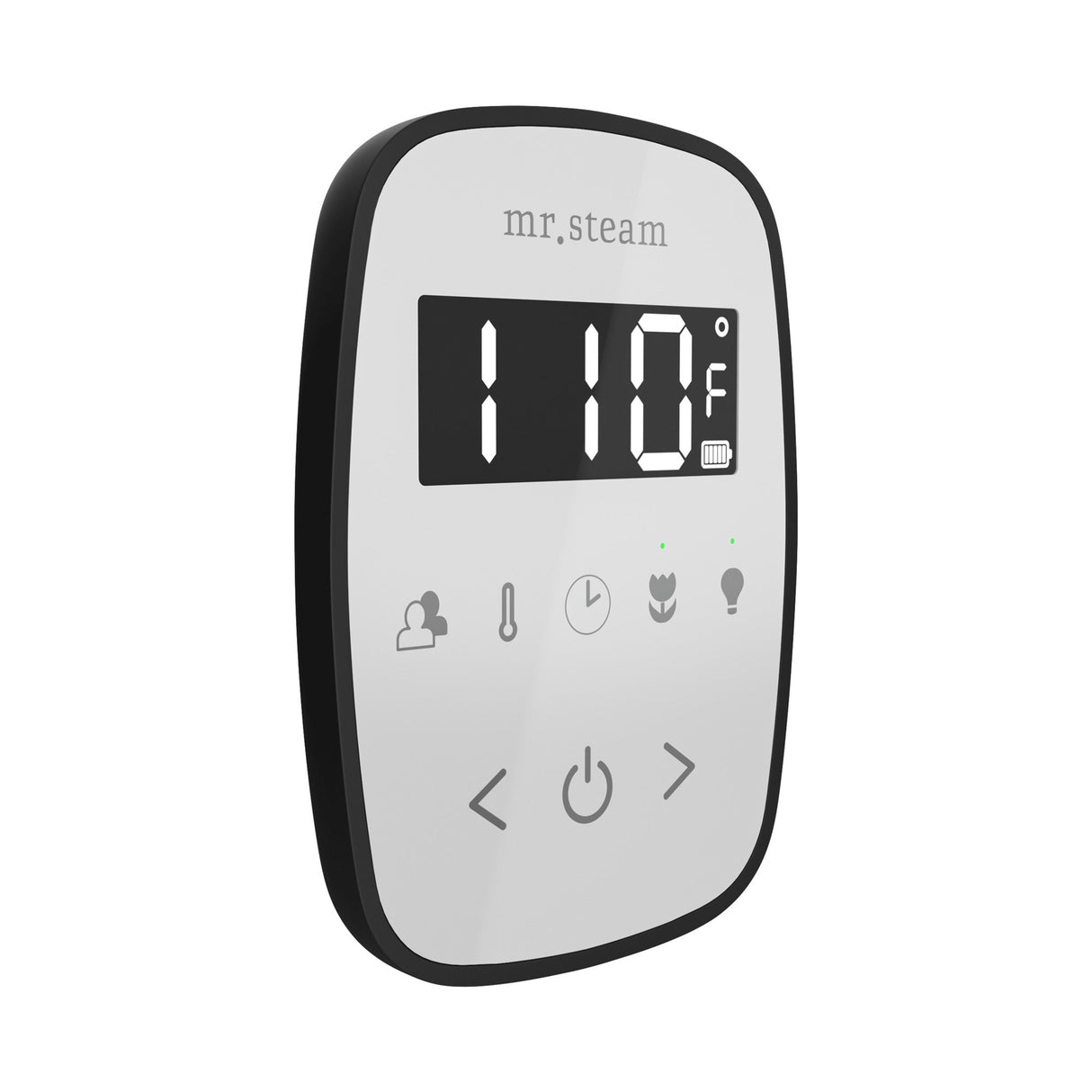 Mr. Steam TempoFlex Steam Shower Control and Steamhead