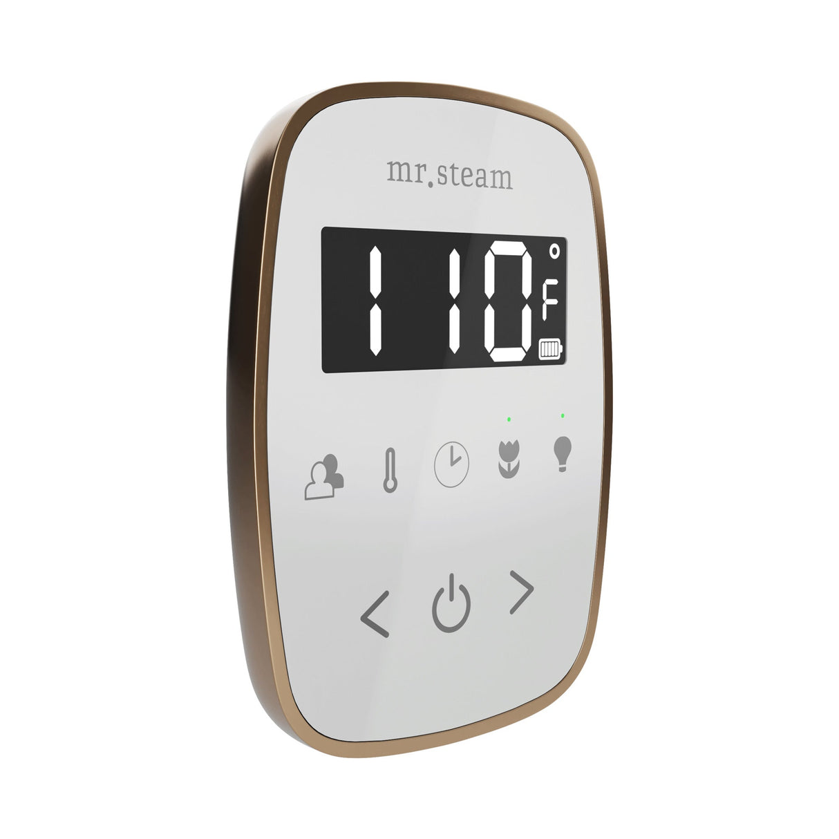Mr. Steam TempoFlex Steam Shower Control and Steamhead