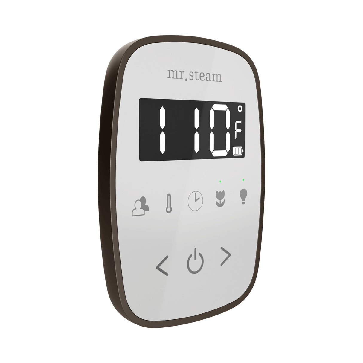 Mr. Steam TempoFlex Steam Shower Control and Steamhead