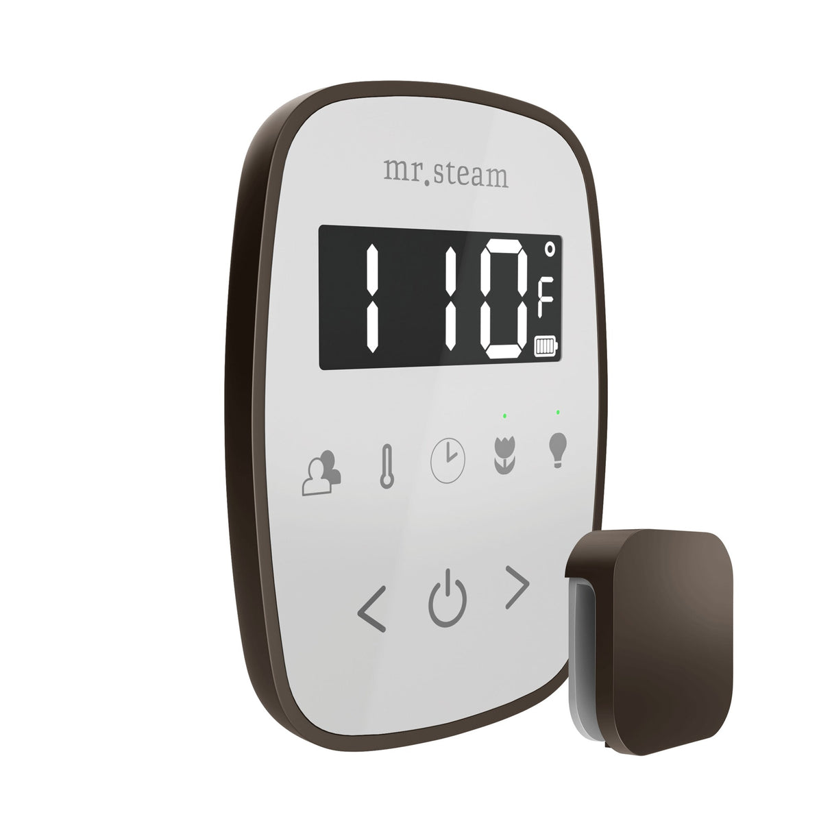 Mr. Steam TempoFlex Steam Shower Control and Steamhead
