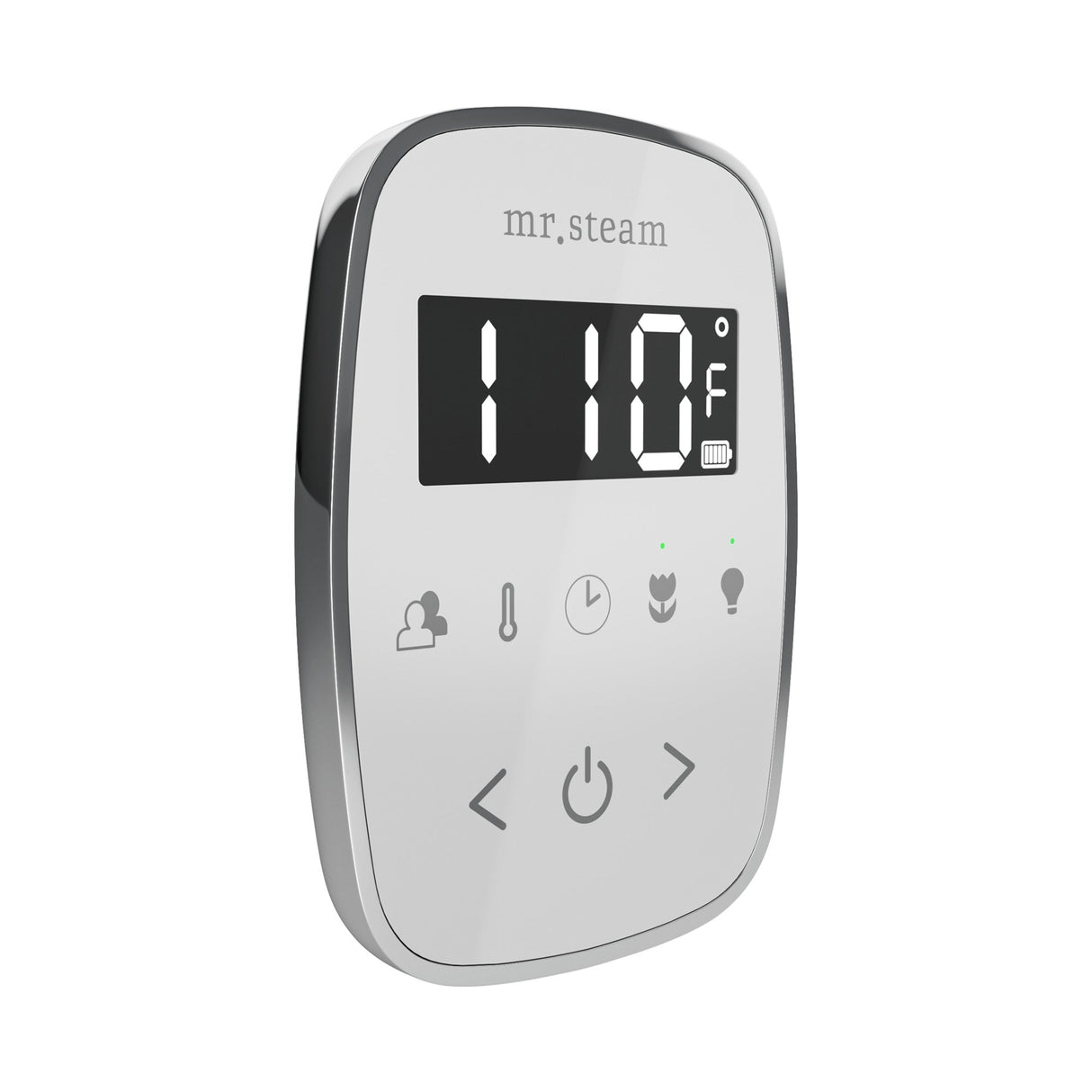 Mr. Steam TempoFlex Steam Shower Control and Steamhead