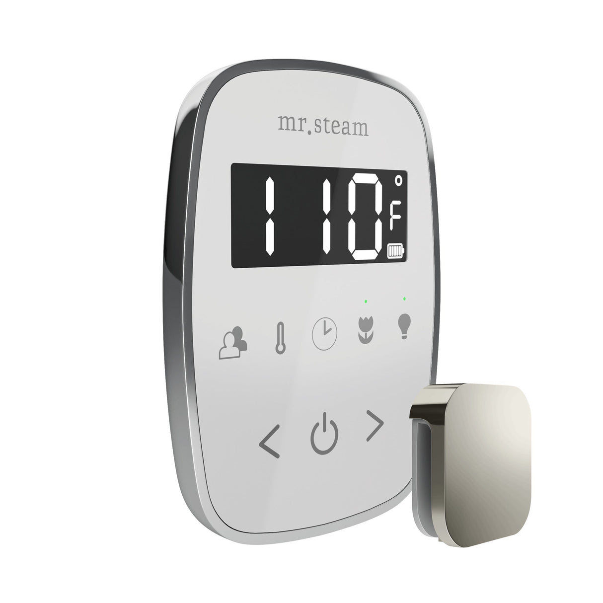 Mr. Steam TempoFlex Steam Shower Control and Steamhead