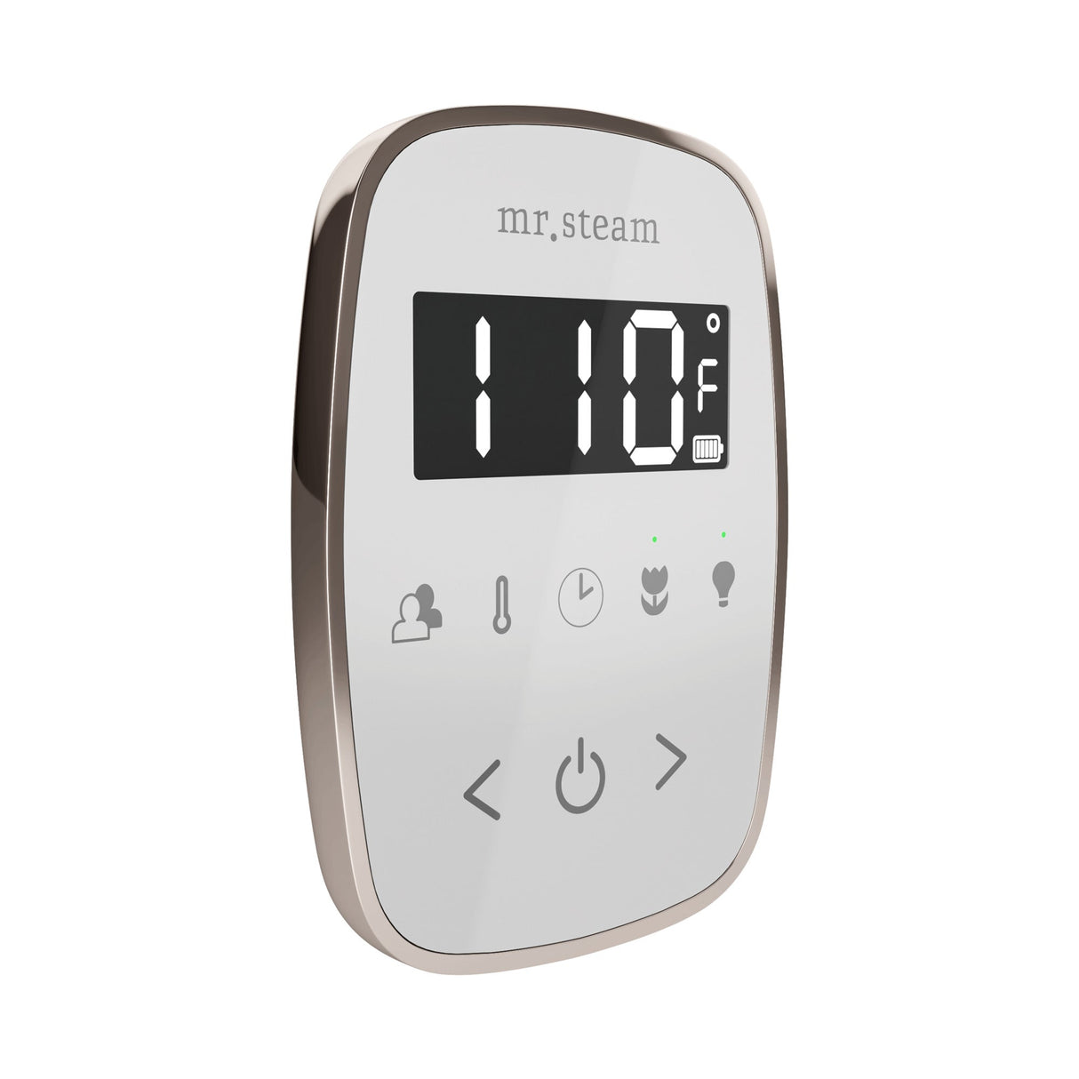 Mr. Steam TempoFlex Steam Shower Control and Steamhead