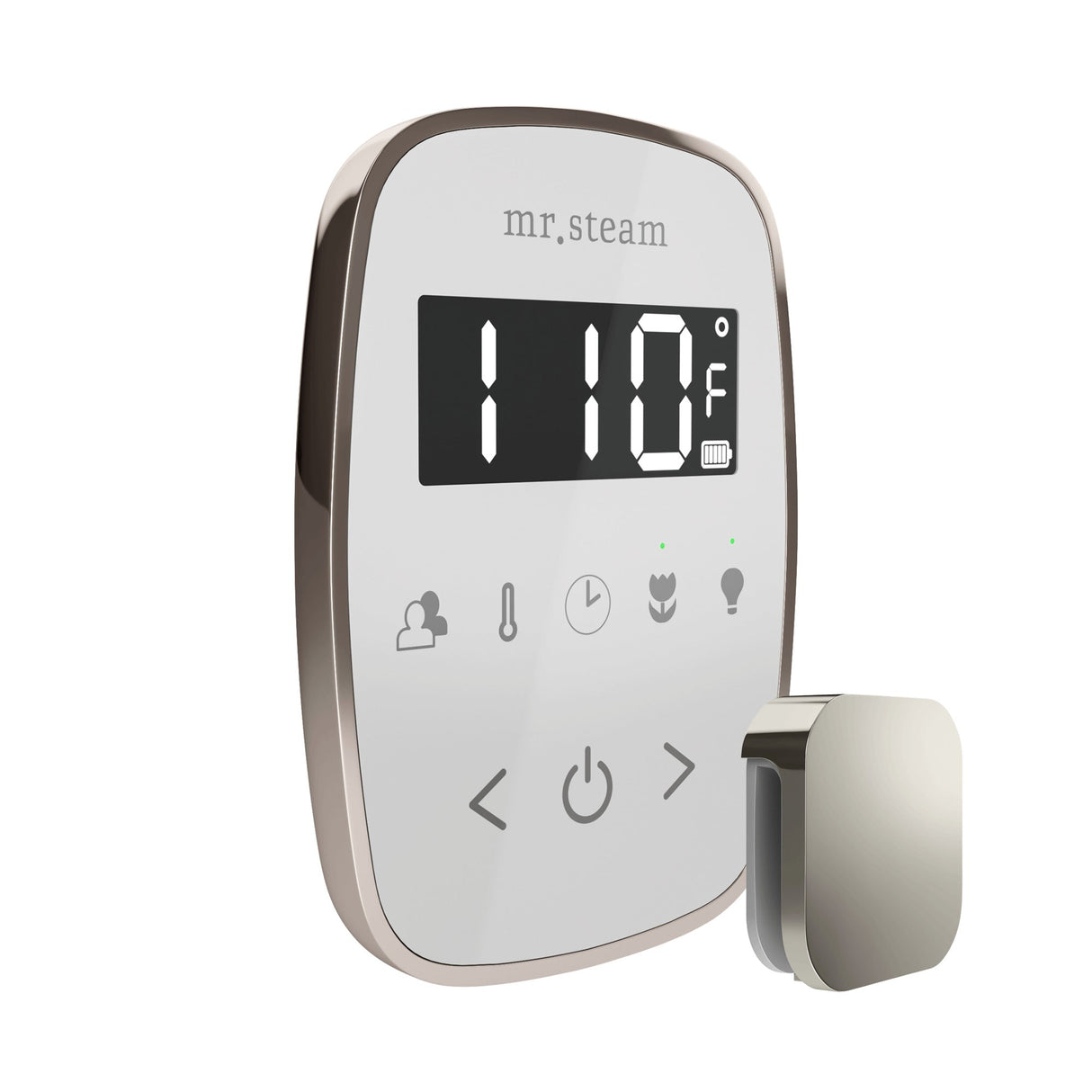 Mr. Steam TempoFlex Steam Shower Control and Steamhead