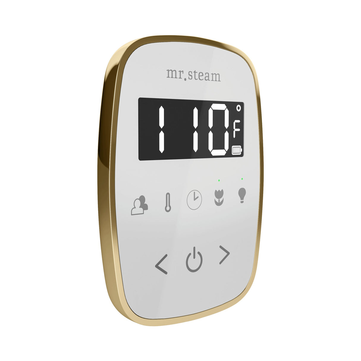 Mr. Steam TempoFlex Steam Shower Control and Steamhead