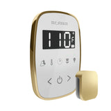 Mr. Steam TempoFlex Steam Shower Control and Steamhead