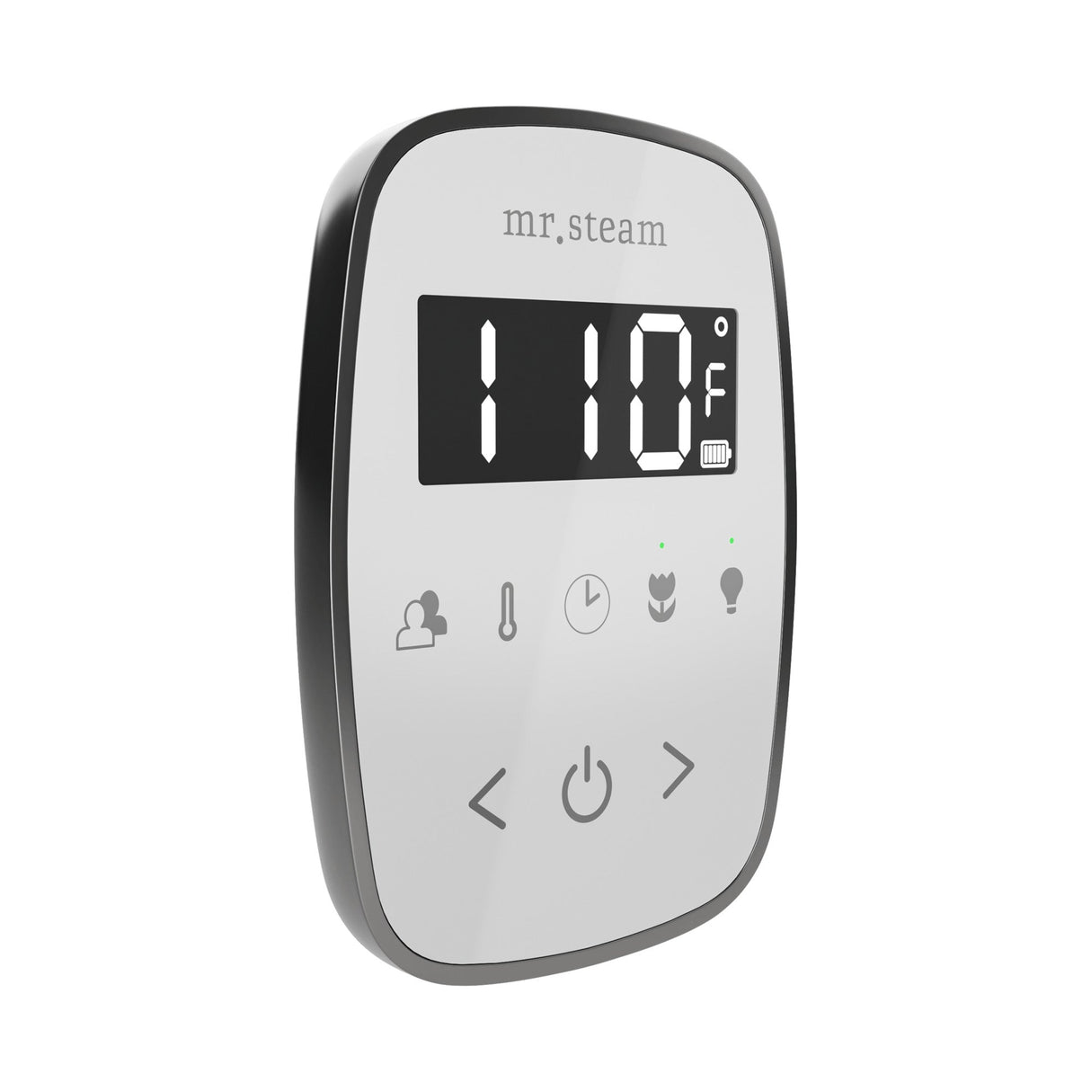 Mr. Steam TempoFlex Steam Shower Control and Steamhead