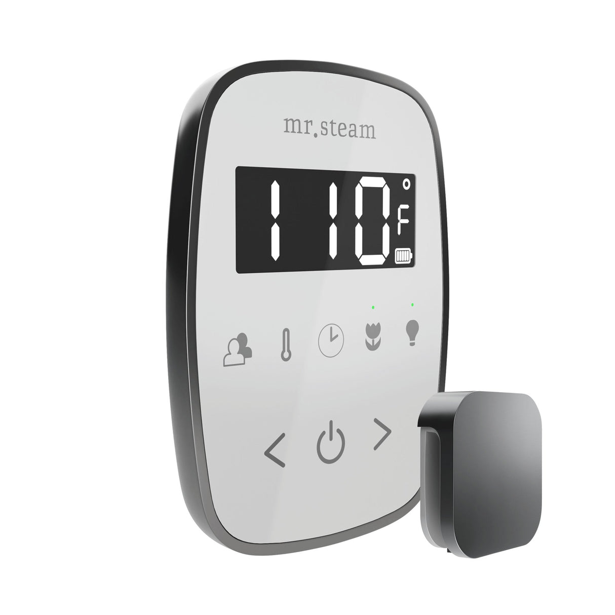 Mr. Steam TempoFlex Steam Shower Control and Steamhead