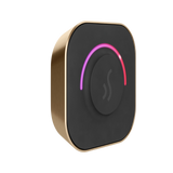 Mr. Steam TempoTouch Steam Shower Control and Steamhead