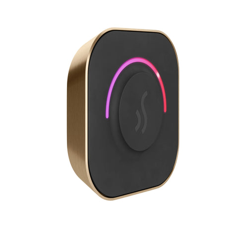 Mr. Steam TempoTouch Steam Shower Control and Steamhead