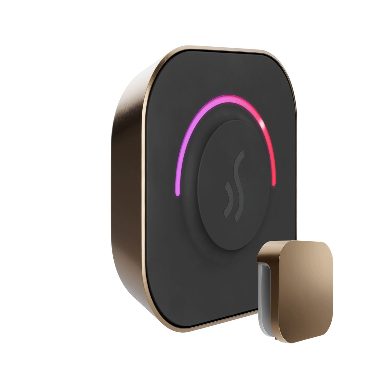 Mr. Steam TempoTouch Steam Shower Control and Steamhead