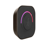 Mr. Steam TempoTouch Steam Shower Control and Steamhead