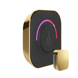 Mr. Steam TempoTouch Steam Shower Control and Steamhead