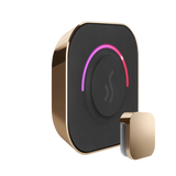 Mr. Steam TempoTouch Steam Shower Control and Steamhead