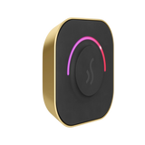 Mr. Steam TempoTouch Steam Shower Control and Steamhead