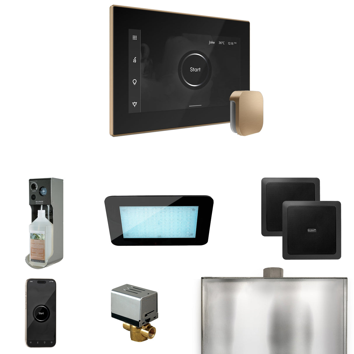 Mr. Steam XDream Steam Shower Control Package with iSteamX Control and Steamhead