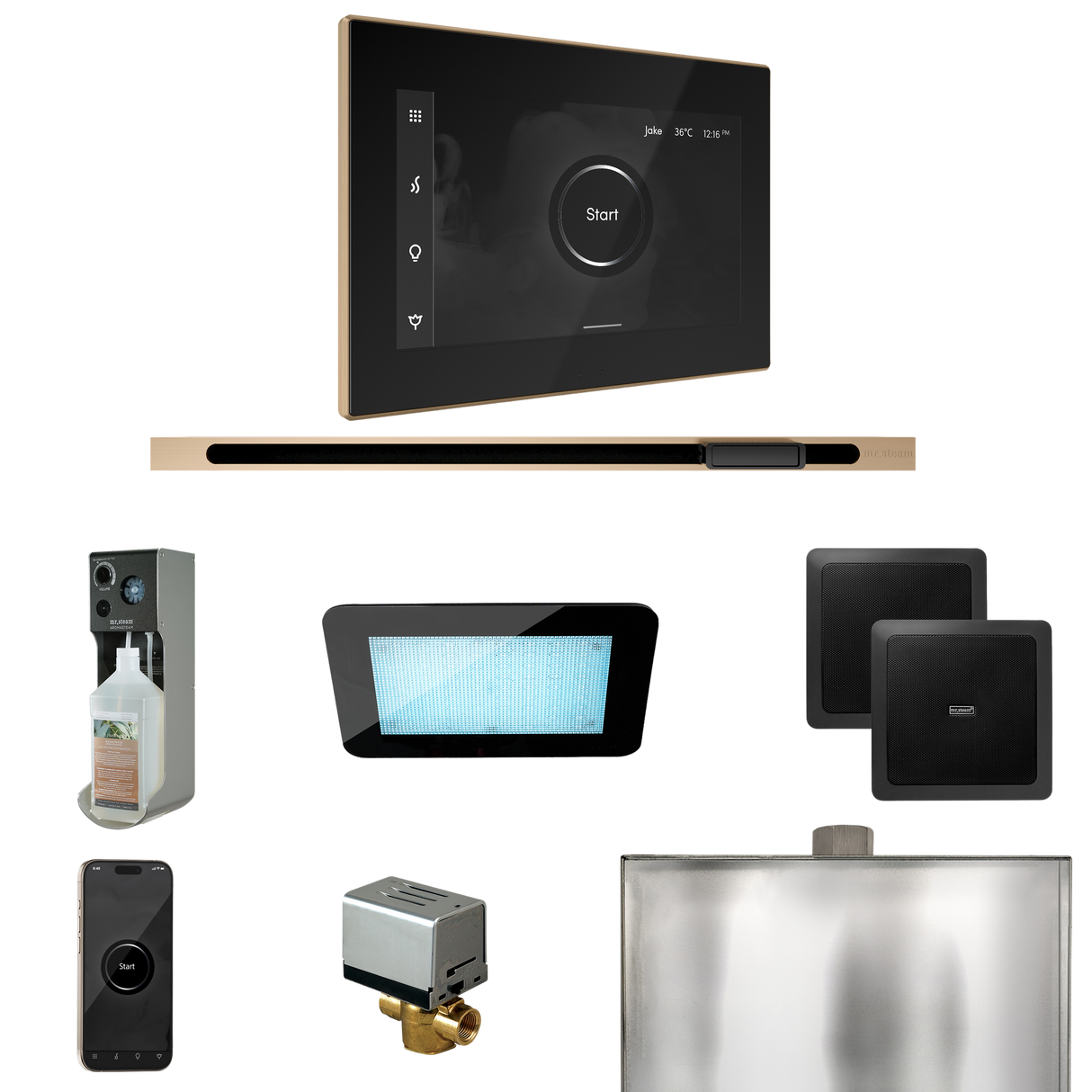 Mr. Steam XDream Steam Shower Control Package with iSteamX Control and Linear Steamhead