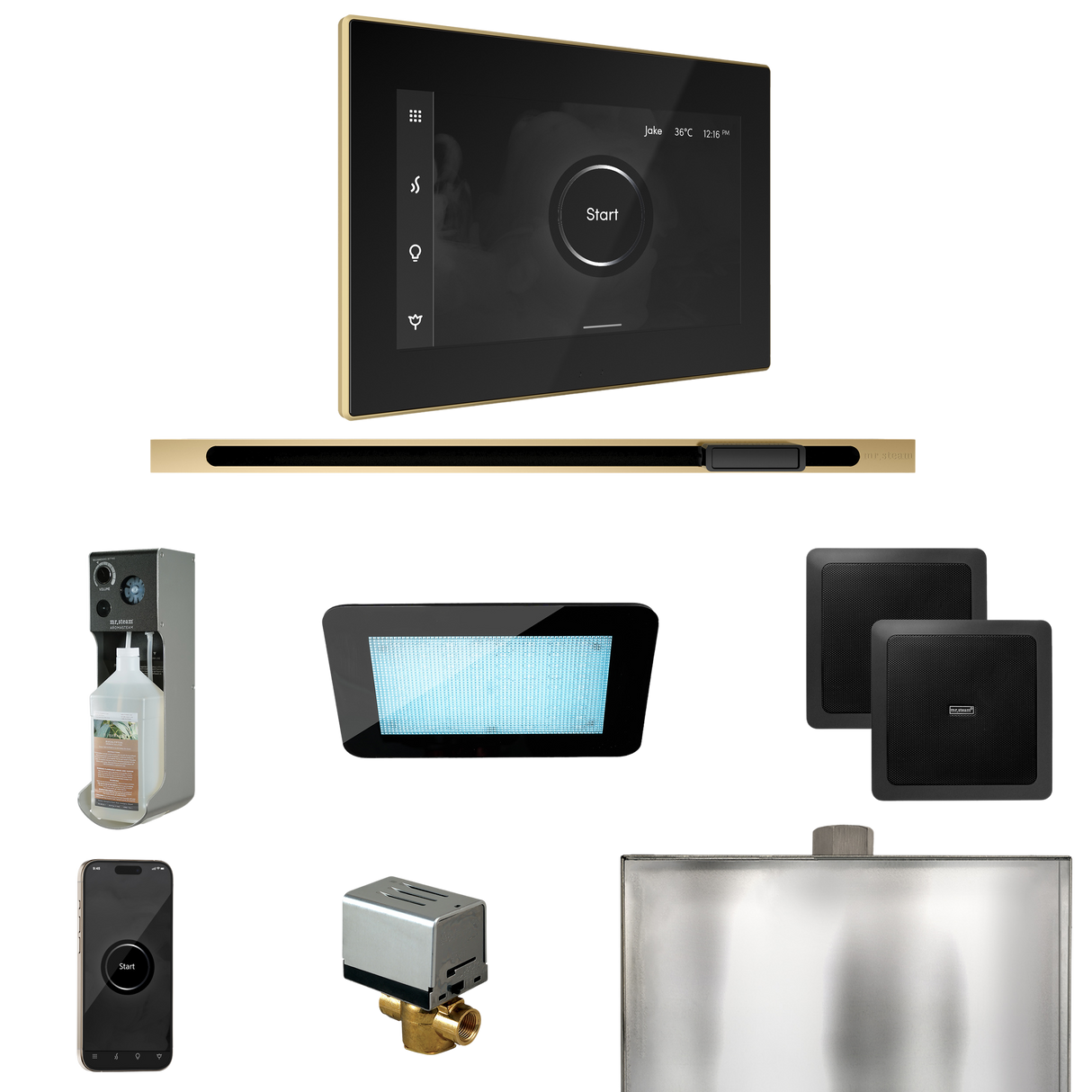 Mr. Steam XDream Steam Shower Control Package with iSteamX Control and Linear Steamhead